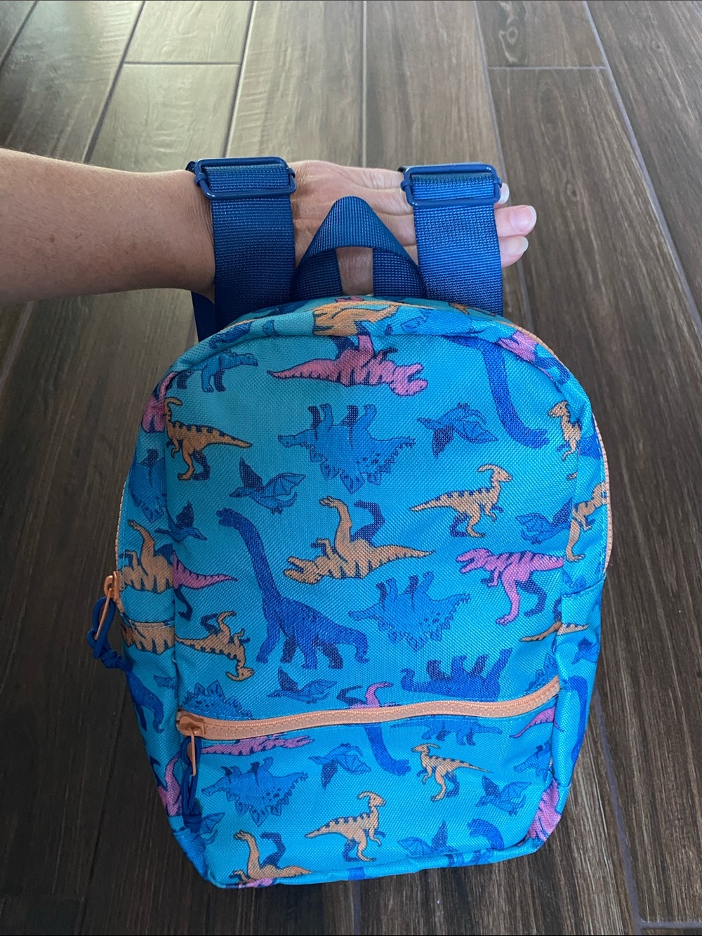 Kids Blue Dinosaur Backpack - Fun Dino Print